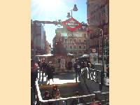 Lebendige Vielfalt in Madrid