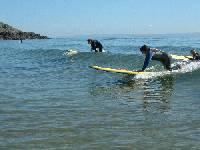 Wassersport in allen Variantionen. W�hrend der Wet & Wild Week Anfang August kann man alles ausprobieren.